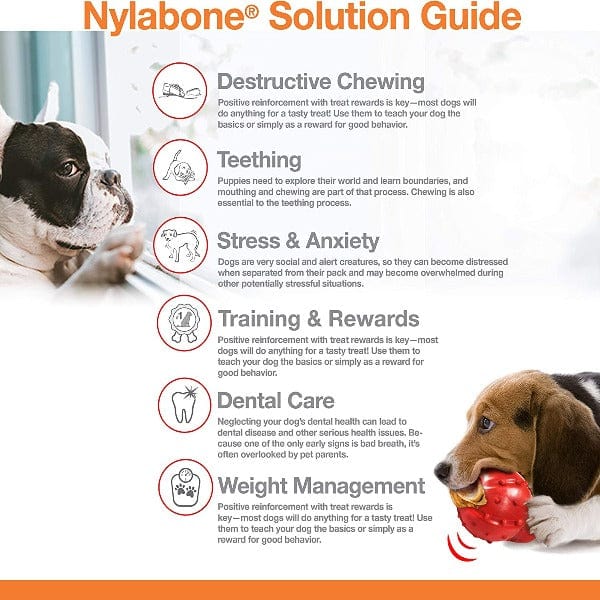 Nylabone Durable Textured Chicken-Flavored Dog Chew Bone