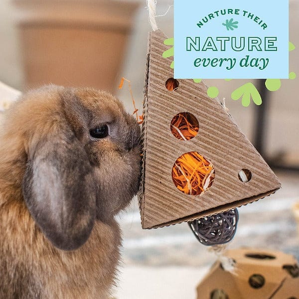Oxbow Enriched Life - Pet-Friendly Flower Cone Treat Hanger for Small Animals