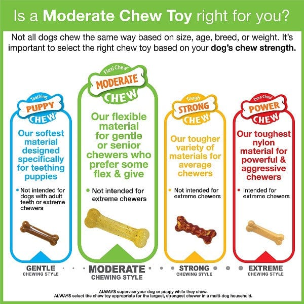 Nylabone Combo Pack: Dental Chew and Flexi Bone Dog Chew Toys for Moderate Chewers