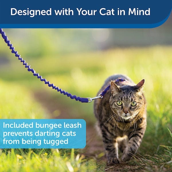 PetSafe Come With Me Cat Harness and Bungee Leash - An Ideal Walking Gear for Felines