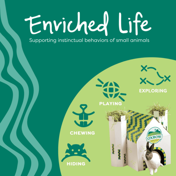 Oxbow Enriched Life - Premium Forage Bowl for Small Pets