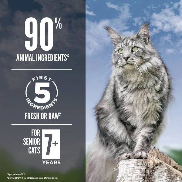 Orijen Guardian 8 Premium Dry Cat Food for Senior Felines
