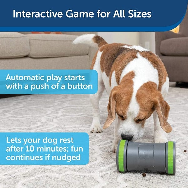 PetSafe Interactive Kibble Chase Roaming Treat Dispensing Dog Toy for Enhanced Canine Entertainment