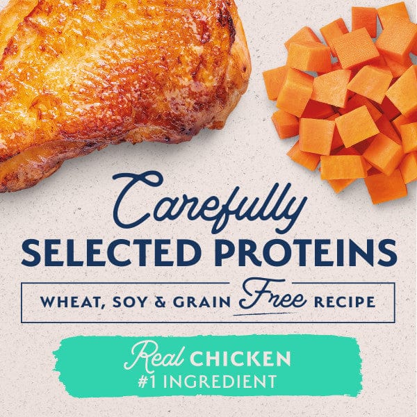 Natural Balance Premium Limited Ingredient Canned Dog Food with Chicken and Sweet Potato Recipe
