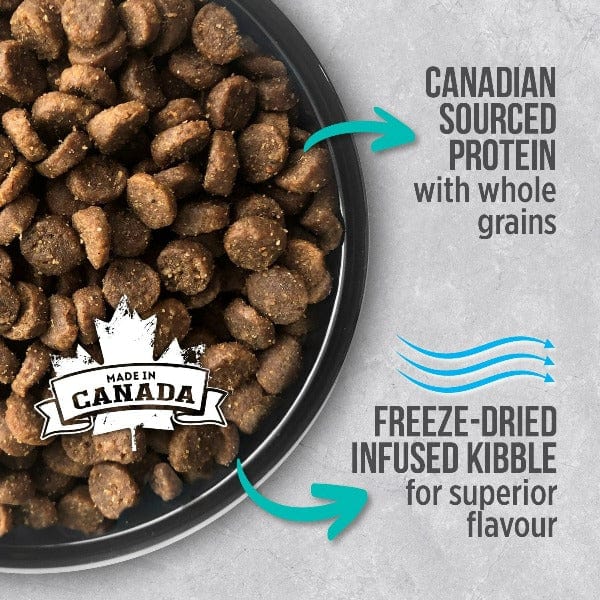 Nutrience Infusion High - Quality Adult Indoor Cat Dry Food with Chicken Recipe
