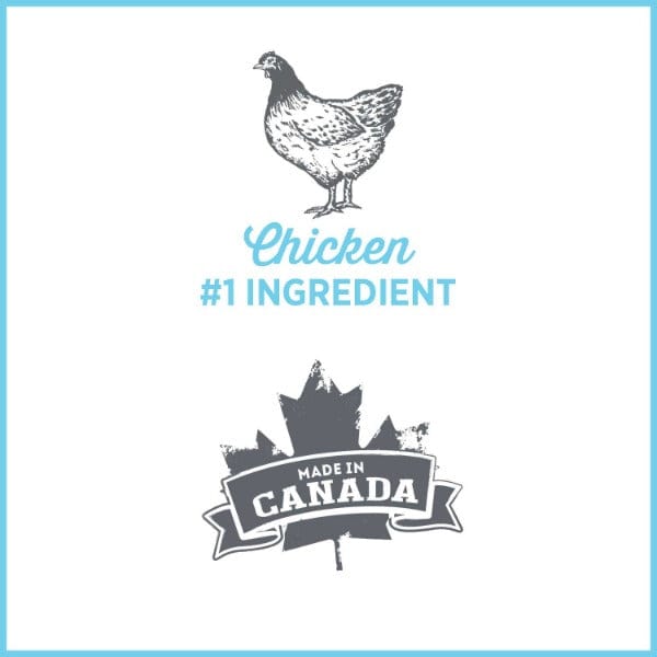Nutrience Care Plus Calm and Comfort Canned Dog Food - A Premium Wet Food Option for Canines