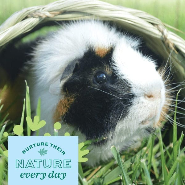 Oxbow Timothy Club - Hand - Woven Timothy Hay Hideout for Small Pets