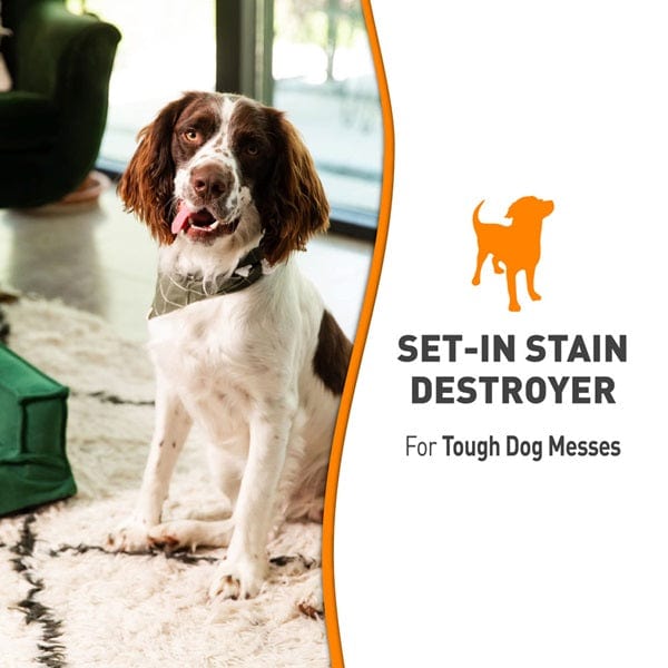 Nature's Miracle Oxy Formula: Powerful Set - in Stain & Odor Destroyer for Dogs