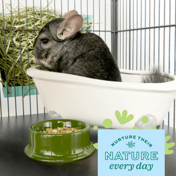 Oxbow Enriched Life - Premium Forage Bowl for Small Pets