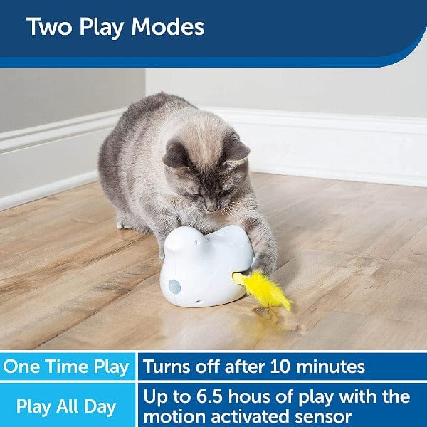 PetSafe Interactive Electronic Cat Toy with Peek - a - Bird Feature