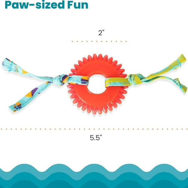 Petstages Interactive Dental Kitty Chew Wheel Cat Toy for Chewing Enthusiast Felines