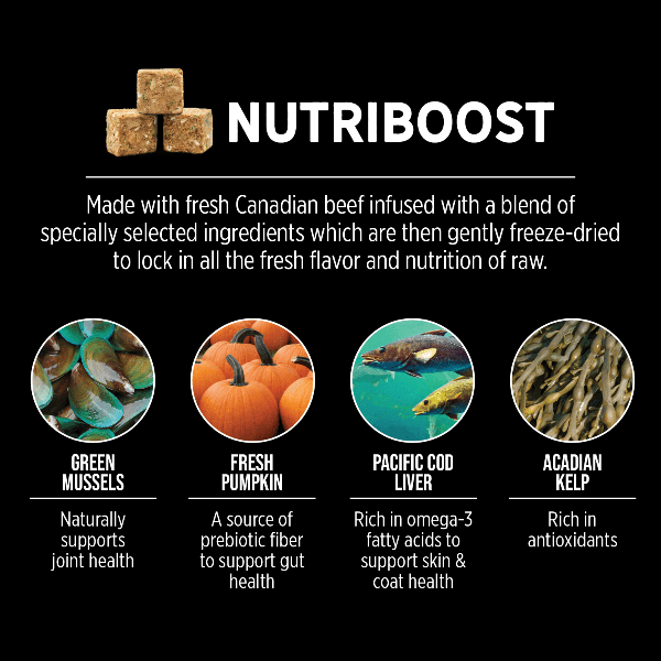 Nutrience SubZero Prairie Red Premium High - Protein Dry Dog Food