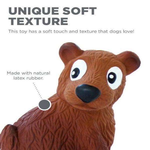 Outward Hound Natural Latex Tootiez Fetch Dog Toys for Endless Fun