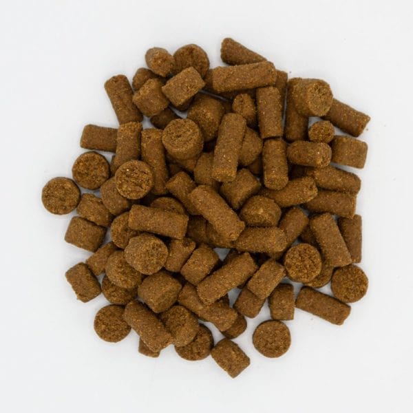 Oxbow High - Quality Chicken Flavored Ferret Treats: Real Prey Rewards