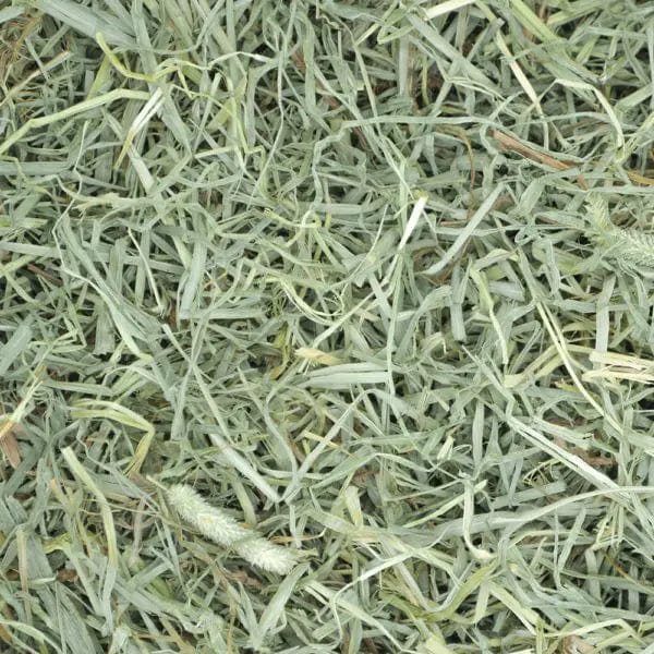 Oxbow Premium Hand - Sorted Soft & Tender Timothy Hay