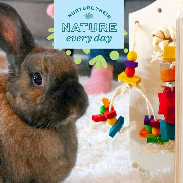 Oxbow Enriched Life - Deluxe Natural Dangly for Happy Pets