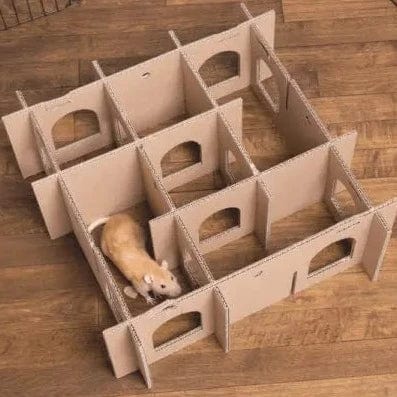 Oxbow Enriched Life Customizable and Interactive Pet Play Place