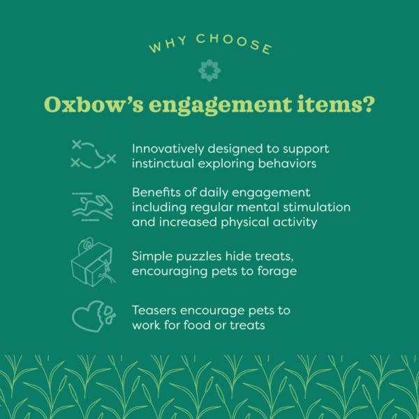 Oxbow Enriched Life - Interactive Play Table for Pets