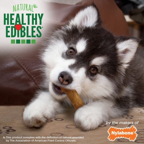 Nylabone Premium Healthy Edibles Puppy Chew Treats with Delectable Lamb and Apple Flavor for Regular-Sized Puppies