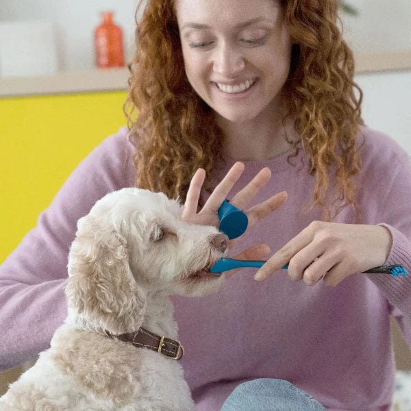 Paw-Ready Pet Tooth Brushing Bite Block