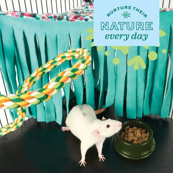 Oxbow Enriched Life - Premium Rat Accessory Set for Optimal Well - being