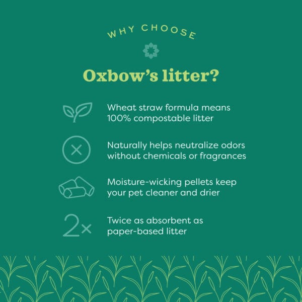 Oxbow's All - natural Dust - free 100% Wheat Straw Eco - Straw Pet Litter