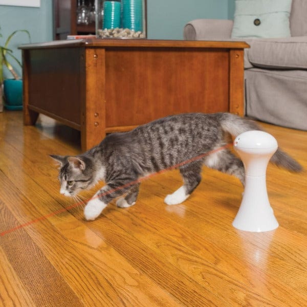 PetSafe FroliCat Automatic 360-Degree Dual-Laser Cat Toy for Endless Entertainment