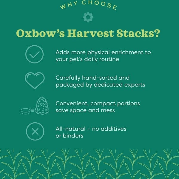 Oxbow All - Natural Compact Western Timothy Harvest Stacks