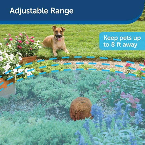 PetSafe Outdoor Pet Barrier System - Pawz Away for Keeping Pets Out of Unwanted Areas